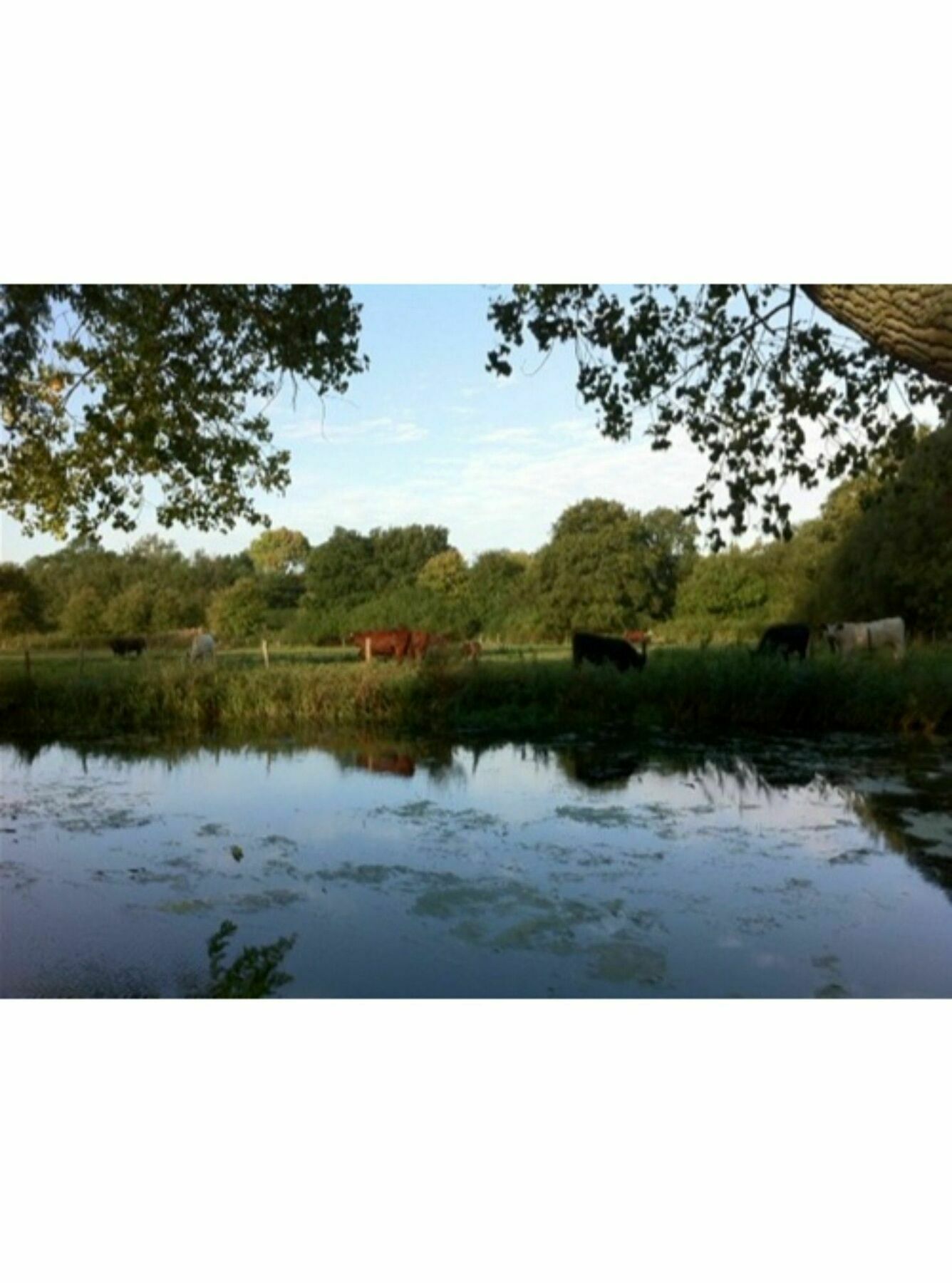 Long Melford Accommodation, Old Stables ภายนอก รูปภาพ