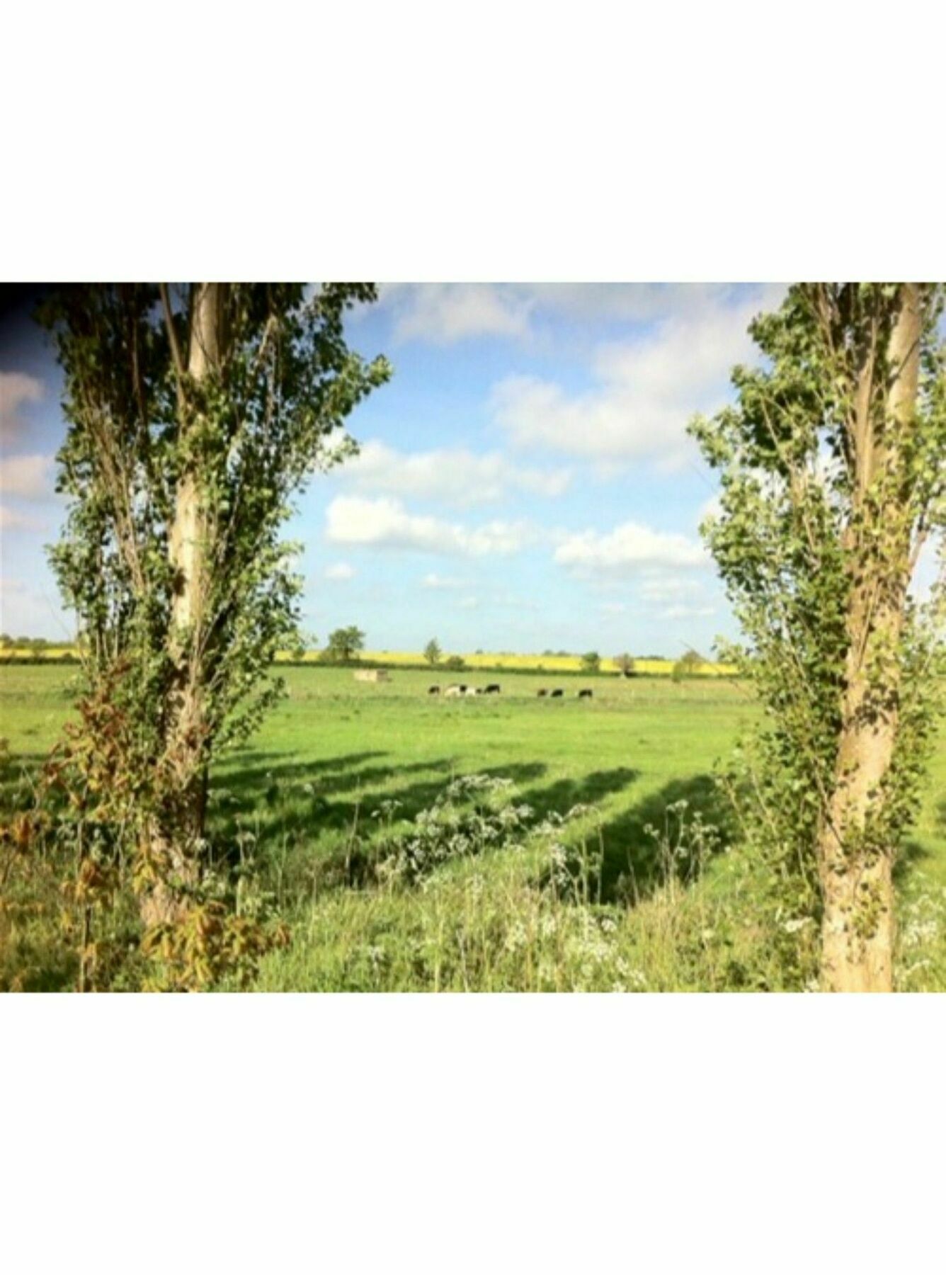Long Melford Accommodation, Old Stables ภายนอก รูปภาพ